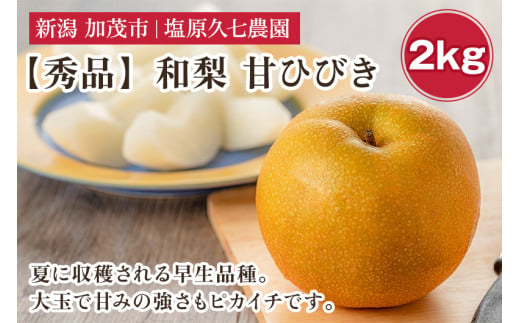 【2025年先行予約】新潟県産 和梨 甘ひびき 2kg 【秀品】《7月下旬から順次出荷》 あまひびき なし 果物 フルーツ デザート ジューシー シャキシャキ  加茂市 塩原久七農園 2005431 - 新潟県加茂市