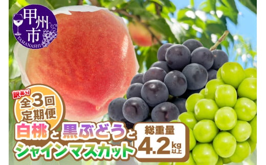 【定期便】訳あり 山梨の桃と黒ぶどう・シャインマスカット全3回【2025年発送】（AGB）C6-875 【わけあり シャインマスカット 葡萄 ぶどう ブドウ 桃 もも モモ 令和7年発送 期間限定 山梨県産 甲州市 フルーツ 果物】