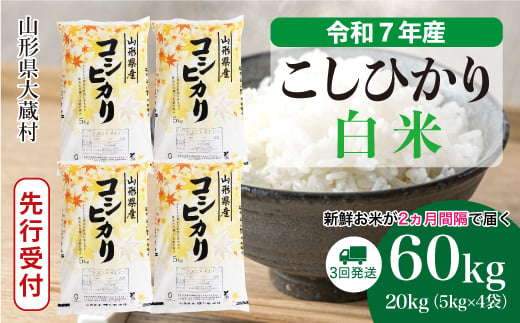 ＜令和7年産米先行受付＞ 大蔵村産 こしひかり 【白米】 定期便 60kg （20kg×２ヶ月間隔で3回お届け）＜配送時期選べます＞ 2005559 - 山形県大蔵村