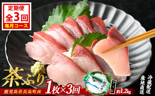 茶ぶりフィレ定期便 毎月 (全3回)  国産 鹿児島県産 ブリ 茶ぶり 鰤 海鮮 海産物 フィレ 魚介 魚 刺身 海鮮丼 産地直送 定期【ウスイ】usui-1383A7