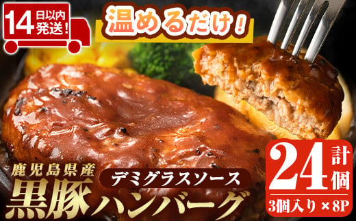 a1003 鹿児島県産黒豚ハンバーグ 計24個 (210g(3個入り)×8パック)【AKR Food Company】姶良市ハンバーグ デミグラスソース デミソース 国産 鹿児島県産 肉 豚 豚肉 かごしま黒豚さつま お弁当 惣菜 総菜 冷凍ハンバーグ おかず 温めるだけ 湯煎 簡単 冷凍 小分け