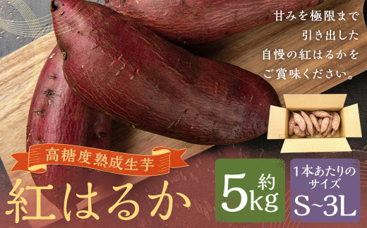 熊本県産 熟成高糖度 紅はるか 熟成生芋 5kg