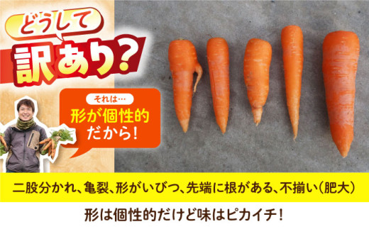 フルーツ 人参 ニンジン にんじん 野菜 やさい 旬 ジュース スムージー