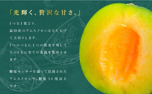 お召し上がりの２～３時間前に冷蔵庫で冷すとおいしさが引き立ちます！