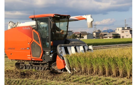 岡山県和気町のふるさと納税 SS-126　【お米　特別栽培米】岡山県産「にこまる」5kg（令和6年産）