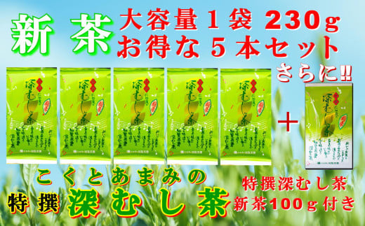 129-05-1 【知覧茶新茶祭り】【期間限定･増量】知覧茶園の特撰深むし茶 大容量 5本セット 特撰深むし茶100g付 2010781 - 鹿児島県南九州市