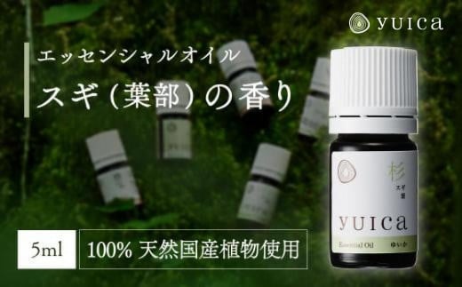 [yuica]エッセンシャルオイル スギ葉部(5ml)| オイル アロマ リフレッシュ 自然 森林 正プラス