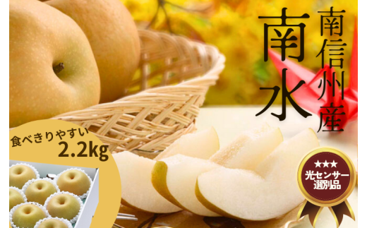 JA29-25A 梨 南水  約2.2kg／2025年9月中旬～10月中旬頃配送予定 // 長野県 南信州 糖度センサー選別 和梨 甘い 贈答 ギフト なし 梨 ナシ 新鮮 厳選 贈答 ２㎏ 2kg