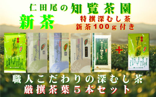 129-03-1 【知覧茶新茶祭り】【期間限定･増量】知覧茶園深むし茶 厳撰茶葉5本セット 特撰深むし茶100g付 2010783 - 鹿児島県南九州市