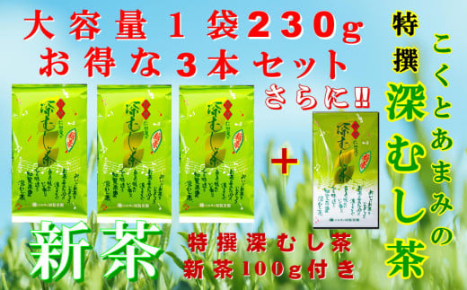 129-08-1 【知覧茶新茶祭り】【期間限定･増量】知覧茶園の特撰深むし茶 大容量 3本セット 特撰深むし茶100g付 2010902 - 鹿児島県南九州市