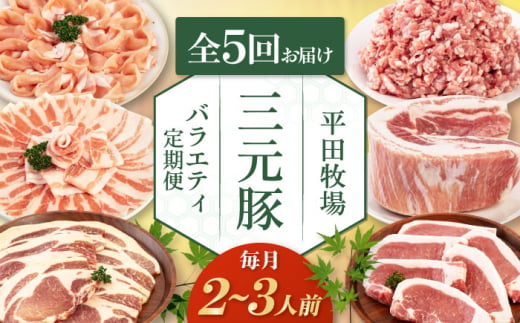 【全5回定期便】 三元豚 バラエティ定期便（2~3人前）《喜茂別町》【平田牧場】 肉 豚肉 ロース バラ肉 ステーキ セット 定期便 [AJAP126] 2006628 - 北海道喜茂別町