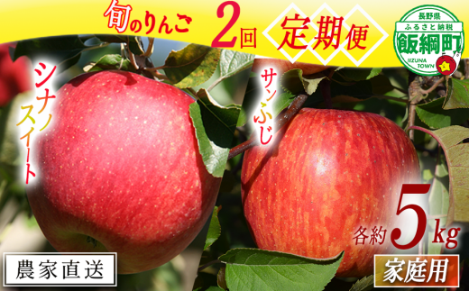 旬のりんご 【 定期便 】 家庭用 5kg × 2回 マルカズりんご農園 沖縄県への配送不可 2025年10月中旬頃から2025年12月上旬頃まで順次発送予定 令和7年度収穫分 減農薬栽培 予約 農家直送 長野県 飯綱町 [1935] 2017968 - 長野県飯綱町