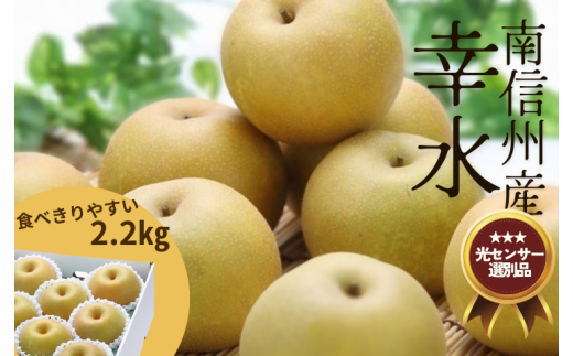 JA28-25A 梨 幸水 約2.2kg／2025年8月中旬～9月上旬ごろ配送 //長野県 南信州 糖度センサー選別 厳選 新鮮 和梨 なし 贈答 ギフト 約2kg