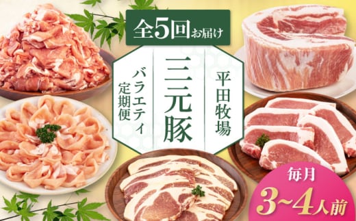 【全5回定期便】三元豚 バラエティ定期便（3~4人前）《喜茂別町》【平田牧場】 肉 豚肉 ロース バラ肉 ステーキ セット 定期便 [AJAP127] 2006629 - 北海道喜茂別町