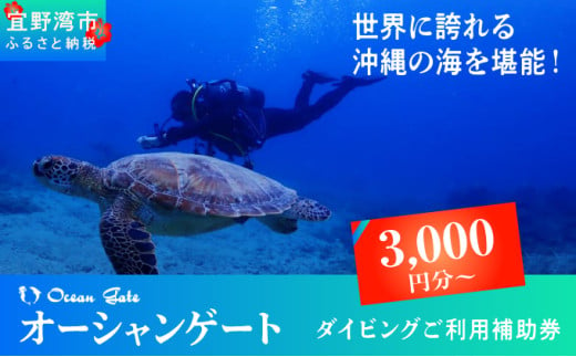 ダイビング マリンスポーツ オーシャンゲート ご利用補助券 3,000円分 | 沖縄県 宜野湾市 ふるさと納税 ふるさと | 送料無料 | 沖縄 旅行 トラベル 観光 リゾート 美ら海 | ご利用券 補助券