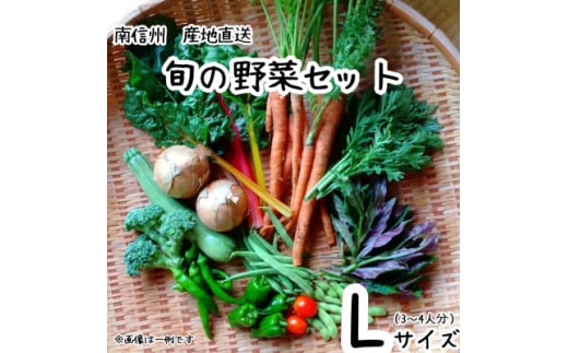 旬の野菜セット詰め合わせ　Lサイズ 3～4人分【1595993】 2010460 - 長野県飯田市