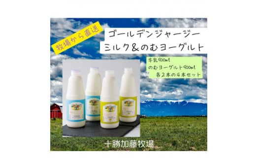 ジャージーゴールデンミルク&のむヨーグルトセット (900ml×各2本)【1595654】 2009430 - 北海道帯広市