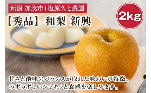 【2025年先行予約】新潟県産 和梨 新興 2kg 【秀品】《10月下旬から順次出荷》 しんこう なし 果物 フルーツ デザート ジューシー シャキシャキ  加茂市 塩原久七農園 2006256 - 新潟県加茂市