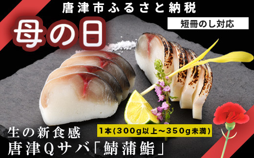 「母の日」生の新食感 唐津Qサバ「鯖蒲鮨」1本(300g以上～350g未満) さば 蒲鉾 かまぼこ おつまみ ギフト 鯖 サバ 唐津 Qサバ 鯖鮨 呼福 大志 水産 魚 海鮮 水産加工