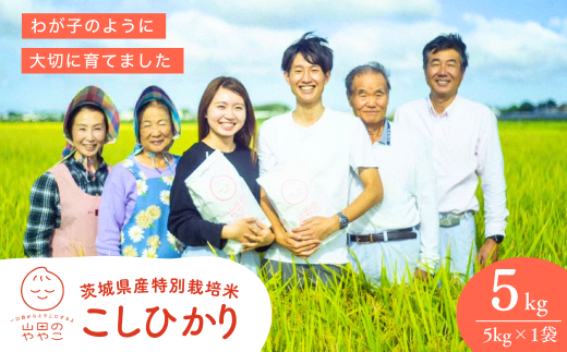 コシヒカリ 白米 5kg 特別栽培米『山田のややこ』 令和6年産  【茨城県共通返礼品・河内町産】 | コシヒカリ 有機肥料 こしひかり 米 お米 白米 精米 特別栽培米 ごはん ご飯 コシヒカリ 稲作一筋 農薬を抑えた こしひかり 特別栽培認証 コシヒカリ 減農薬 厳選米 茨城県産 こしひかり 農家直送 産地直送 国産 ブランド米 甘みが強い ふっくら 艶やか 茨城県 龍ケ崎市 2006680 - 茨城県龍ケ崎市