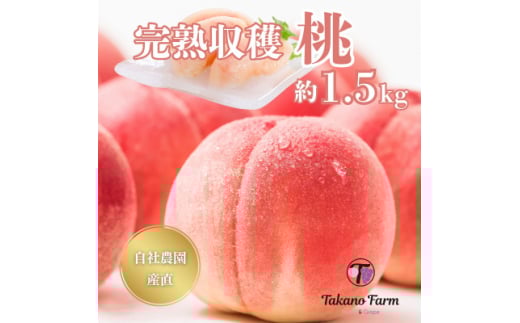 ＜2025年先行受付＞完熟収穫桃 約1.5kg 山梨県産 自社農園産直!【1579458】 1893198 - 山梨県山梨市