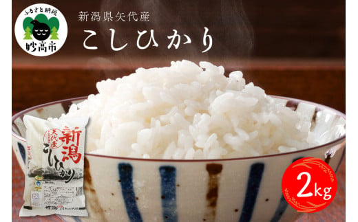  【2025年6月下旬発送】令和6年産 新潟県矢代産コシヒカリ2kg