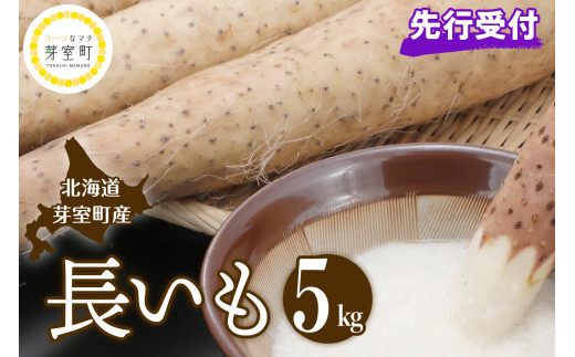 【先行受付】【2025年11月～配送】 長いも 約5kg me002-015c