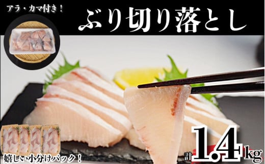 ぶり切り落とし (アラ・カマ付き）選べる容量 計1.4kg ぶり ブリ 鰤 ぶりしゃぶ 刺身 カマ アラ 切り落とし セット 冷凍 国産 小松島市