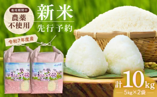【先行予約 令和7年度新米】栽培期間中農薬不使用 農家のおいしいお米 10kg（5kg×2袋）【浅田峠自然塾】 [EA05]  511394 - 長崎県波佐見町