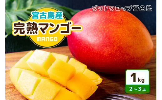 SG001　宮古島産完熟マンゴー 1kg（2～3玉）グットクロップ宮古島