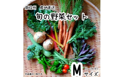 旬の野菜セット詰め合わせ　Mサイズ 2～3人分【1595995】 2010461 - 長野県飯田市