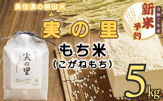 【先行予約】<令和７年産新米> 長野県産 もち米 こがねもち『奥信濃の棚田米 実の里 5kg』 (7-24) 