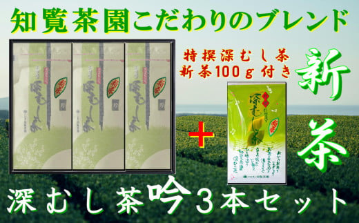 129-06-1 【知覧茶新茶祭り】【期間限定･増量】知覧茶園の深むし茶「吟」3本セット 特撰深むし茶100g付 2010780 - 鹿児島県南九州市