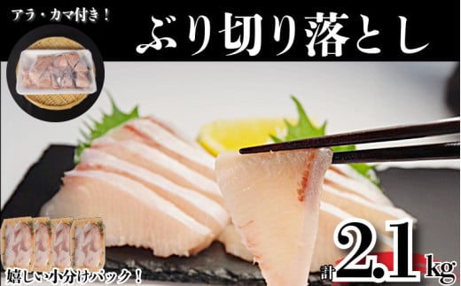 ぶり切り落とし (アラ・カマ付き）選べる容量 計2.1kg ぶり ブリ 鰤 ぶりしゃぶ 刺身 カマ アラ 切り落とし セット 冷凍 国産 小松島市