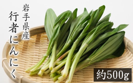 行者にんにく 約 500g 【滝沢産業開発株式会社】 ／ にんにく 大蒜 ニンニク 野菜 山菜 春野菜