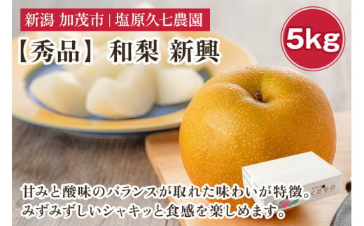 【2025年先行予約】新潟県産 和梨 新興 5kg 【秀品】《10月下旬から順次出荷》 しんこう なし 果物 フルーツ デザート ジューシー シャキシャキ  加茂市 塩原久七農園 2006263 - 新潟県加茂市