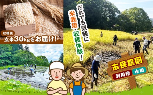 市民農園・利用権（水田） | 農業体験 農園 野菜作り アクティビティ 木島平村 信州 2006750 - 長野県木島平村