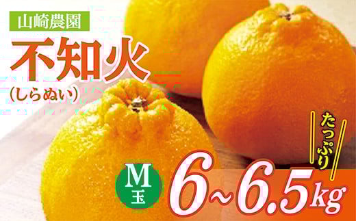 山崎農園の不知火 M玉 ※画像はイメージです。