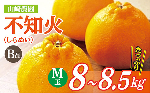 山崎農園の不知火 M玉 ※画像はイメージです