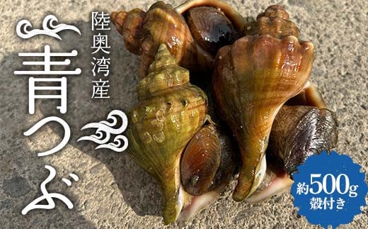 陸奥湾産 青つぶ 殻付き 500g詰め 【飛佳丸】 活 青つぶ貝 ツブ つぶ つぶ貝 お刺身 つぶ刺し 刺身 焼きつぶ おつまみ 高級食材 魚介 海鮮 青森県 平内町 東北 むつ湾 F21J-262