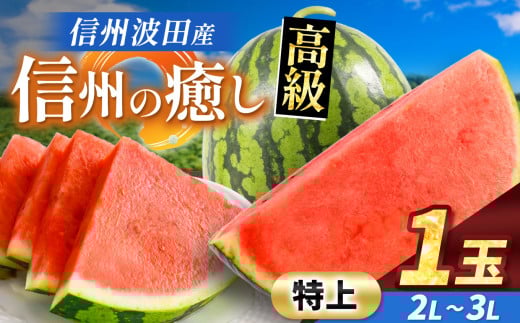 【先行予約】信州波田産 贈答用 高級スイカ！信州の癒し 【特上】 2L～3Lサイズ 1玉｜ふるさと納税 長野県 信州 松本 果物 フルーツ すいか スイカ 西瓜 新鮮 大きい 特別 贈答 季節限定 甘い くだもの ふるーつ 1985474 - 長野県松本市