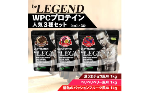 ビーレジェンド WPCプロテイン 人気3種セット＜1kg＞×3袋【1595311】