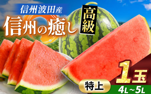 【先行予約】信州波田産 贈答用 高級スイカ！信州の癒し 【特上】 4L～5Lサイズ 1玉｜ふるさと納税 長野県 信州 松本 果物 フルーツ すいか スイカ 西瓜 新鮮 大きい 特別 贈答 季節限定 甘い くだもの ふるーつ 1985475 - 長野県松本市