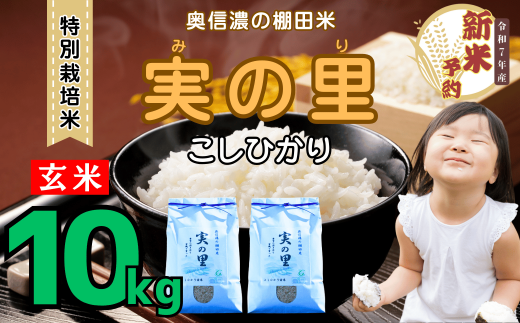 【先行予約】<令和７年産新米> 特別栽培米 『奥信濃の棚田米 実の里』 こしひかり 玄米 10㎏ (7-22)