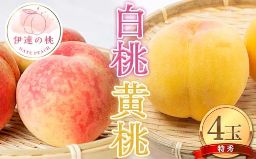 伊達市産の白桃と黄桃の特秀 もも 4玉入り (約1.1kg) 桃 もも モモ 果物 くだもの フルーツ 国産 食品 F21C-080