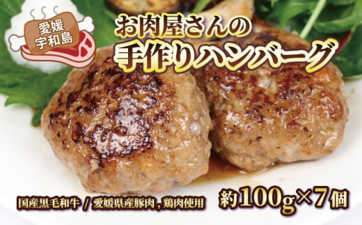 お 肉屋 さんの 手作り ハンバーグ  泉精肉店 100g × 7個 黒毛和牛 豚 鶏肉 合い挽き 肉 お肉 にく 惣菜 おかず お弁当 冷凍 小分け 真空パック 焼くだけ 簡単調理 弁当 和風 デミグラス アレンジ可 国産 愛媛 宇和島 E010-142001 1276520 - 愛媛県宇和島市