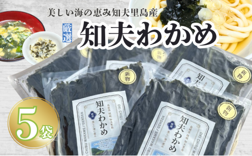 【知夫里産】養殖わかめ　5袋セット　国産　島根県　隠岐　わかめ　 2007801 - 島根県知夫村