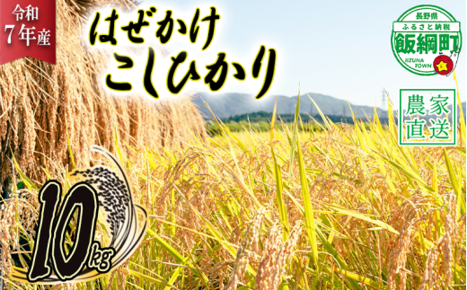米 こしひかり 10kg ( 令和7年産 ) 黒柳さんのお米 はぜかけ 2025年11月上旬頃から順次発送予定 コシヒカリ 白米 精米 お米 信州 25000円 予約 農家直送 長野県 飯綱町 [0108] 232455 - 長野県飯綱町