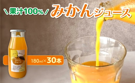 果汁100％ みかんジュース 180ml × 30本 無農薬 無添加 濃厚 みかん ジュース 炭酸 清涼飲料水 夏 蜜柑 炭酸ジュース みかん ジュース みかん ジュース みかん ジュース みかん ジュース ふるさと納税みかん くらしを耕す会 愛知県 南知多町 2007854 - 愛知県南知多町