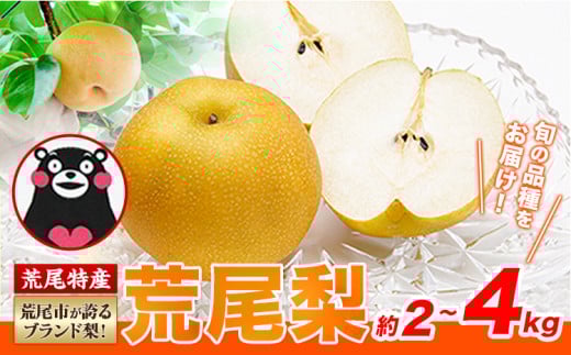 [ 2025年 先行予約 ] 梨 荒尾梨 和梨 約2kg または 4kg なし フルーツ 果物 新鮮[2025年8月下旬‐11月中旬頃出荷]訳あり 熊本県 荒尾市産 デザート 旬の梨 幸水 豊水 あきづき 他4種 合計7種のいずれかをお届け(品種指定はできません) あたご梨 st-p